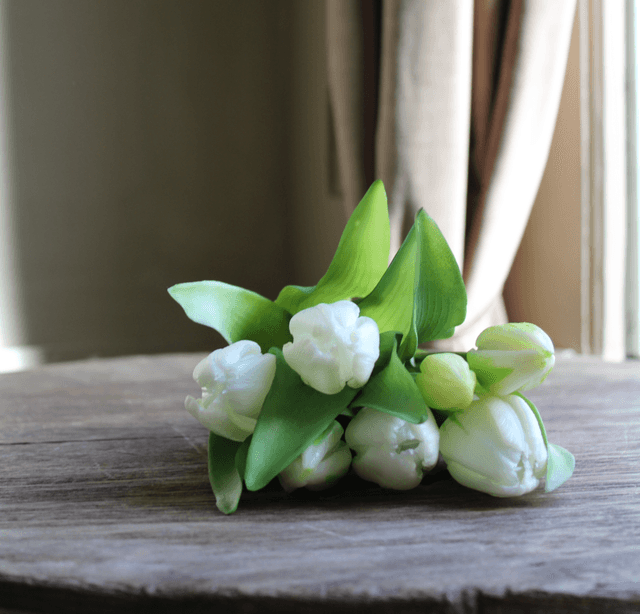 Tulp Eliza white 