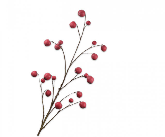 Silk-Ka Appeltak Rood 124cm