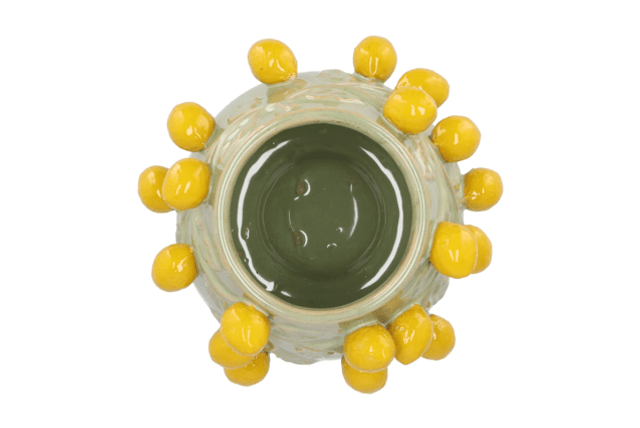 Fruit lemon pistache pot 