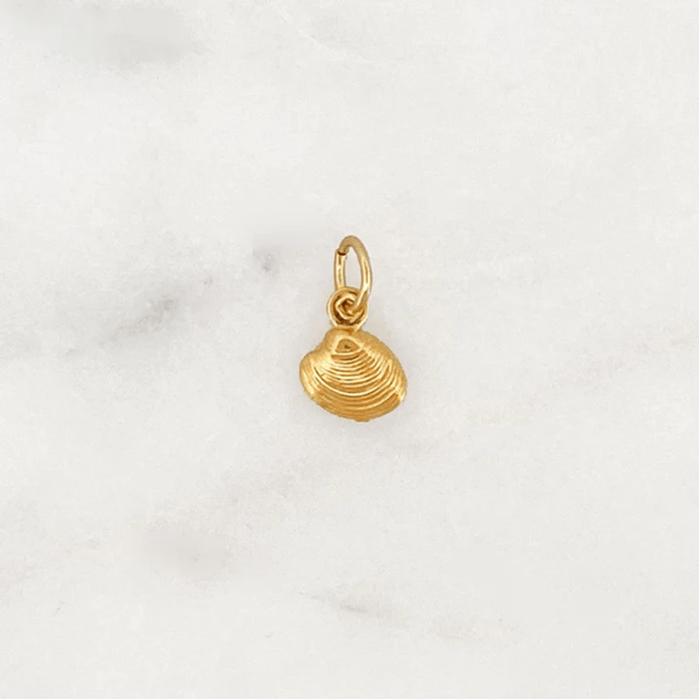 DYO Venus Shell