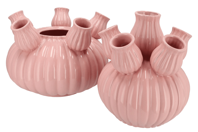 Amsterdam light pink tulip vase bubbles 