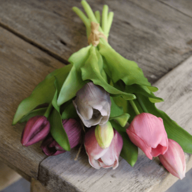 Tulpen mix Mauve (bos van 6) 31cm