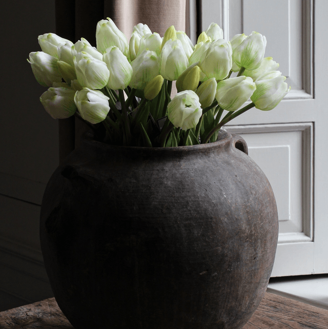 tulp classic white 