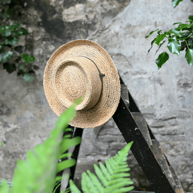 Stetson Gambler Raffia naturel 