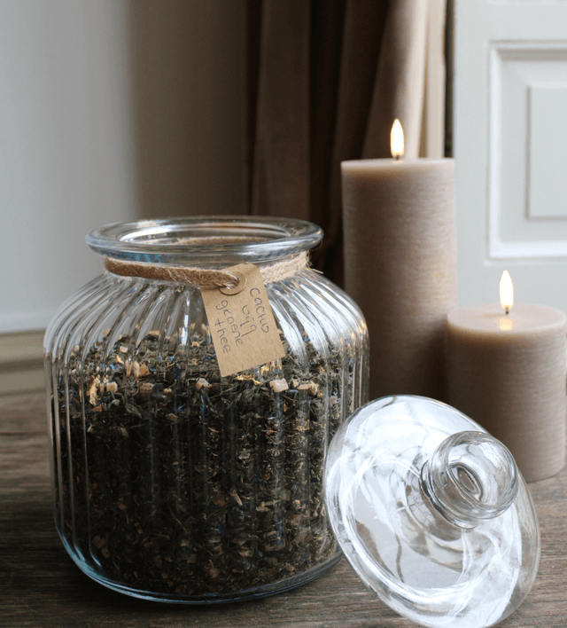 Sencha Cactus Vijg 