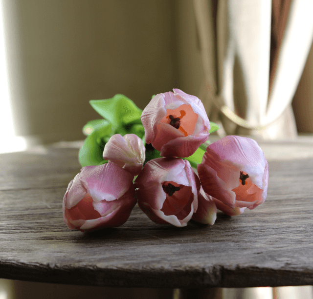 Tulp Classic Set Mauve 47cm