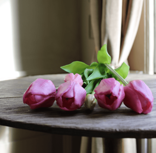 tulp classic vintage pink