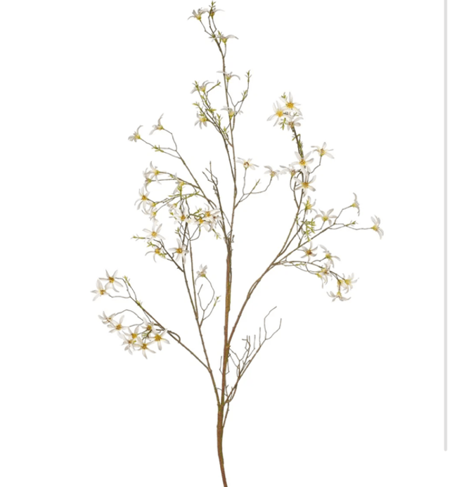 Forsythia Tak Wit 