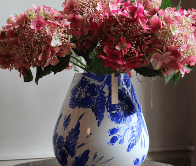 Hydrangea Tak Old Pink 