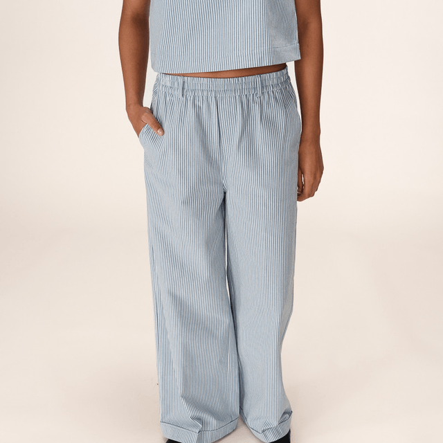 Trousers Stripe Blue