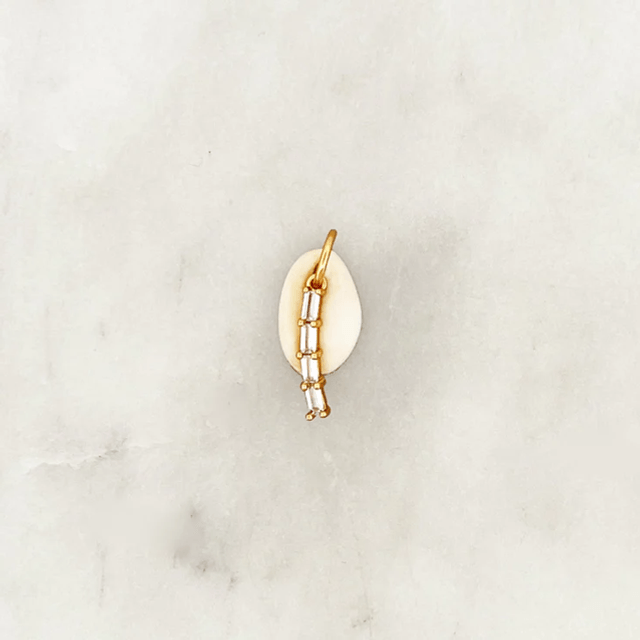 DYO Shiny Cowrie