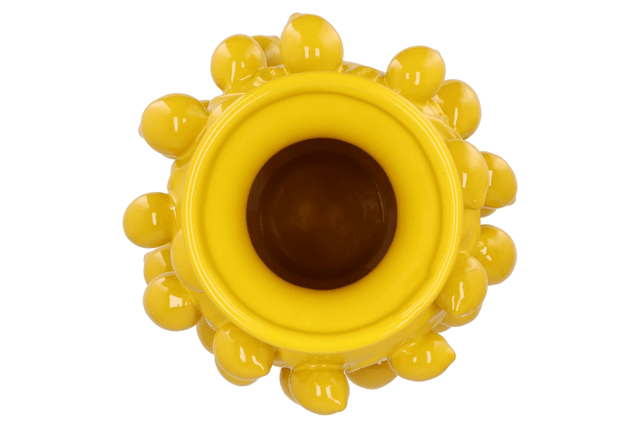 Fruit lemon yellow vase 