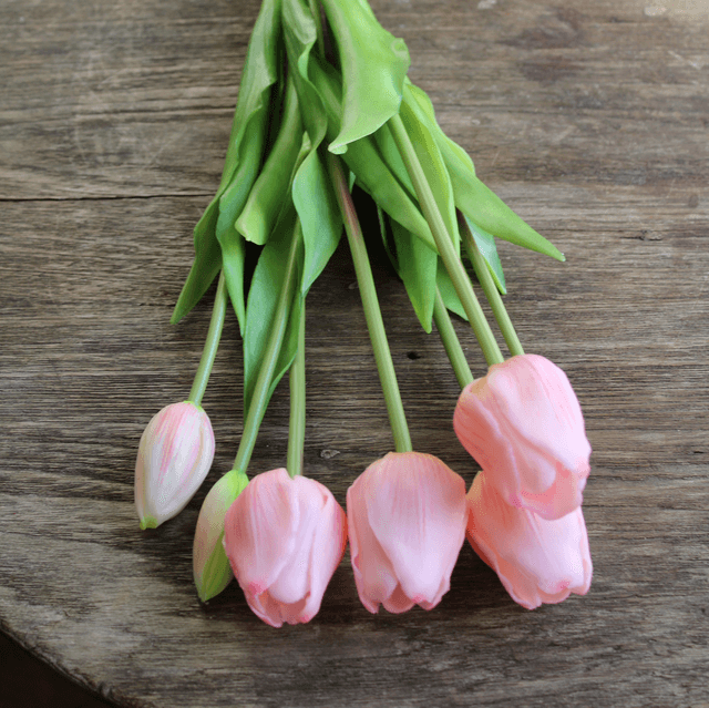 tulp classic soft pink