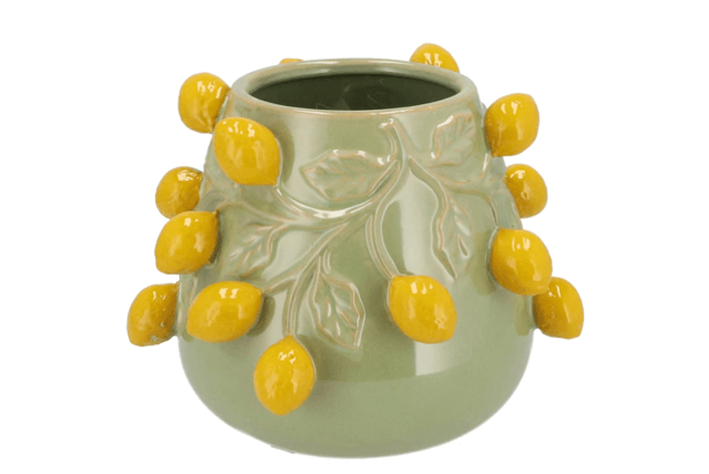 Fruit lemon pistache pot 
