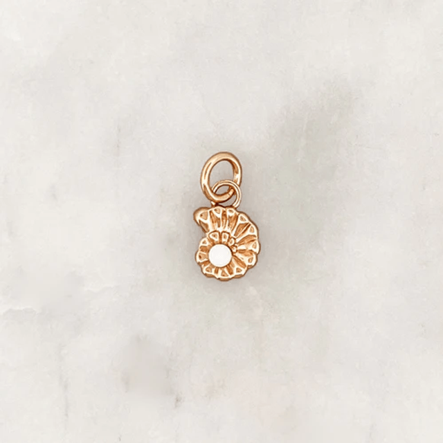 DYO Opal Moon Shell 