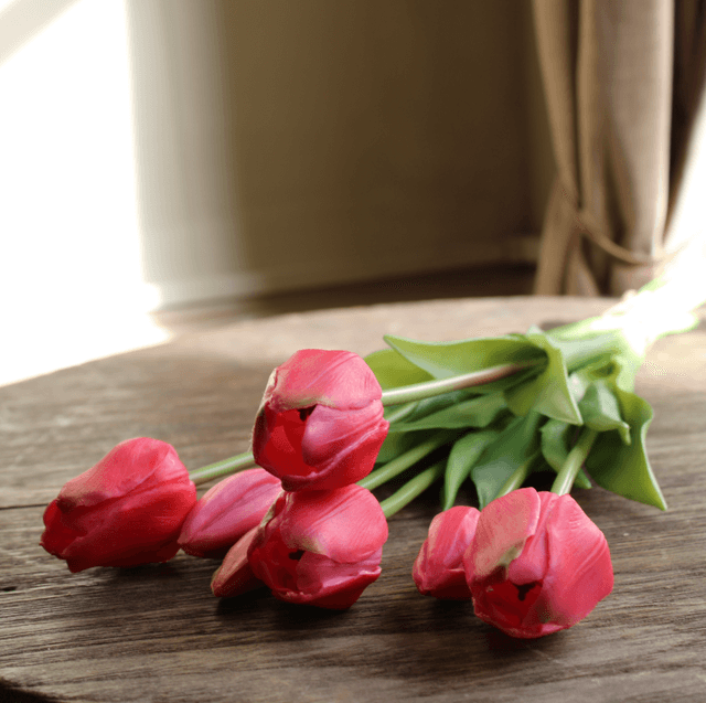 tulp classic pink