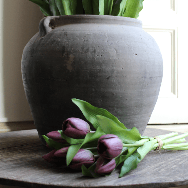 Tulp Purple 30cm 