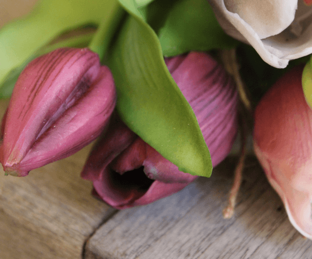 Tulpen mix Mauve (bos van 6) 31cm