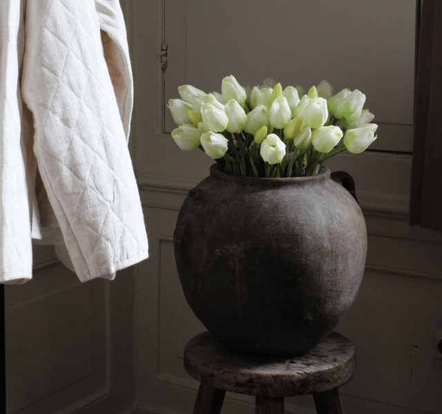 tulp classic white 