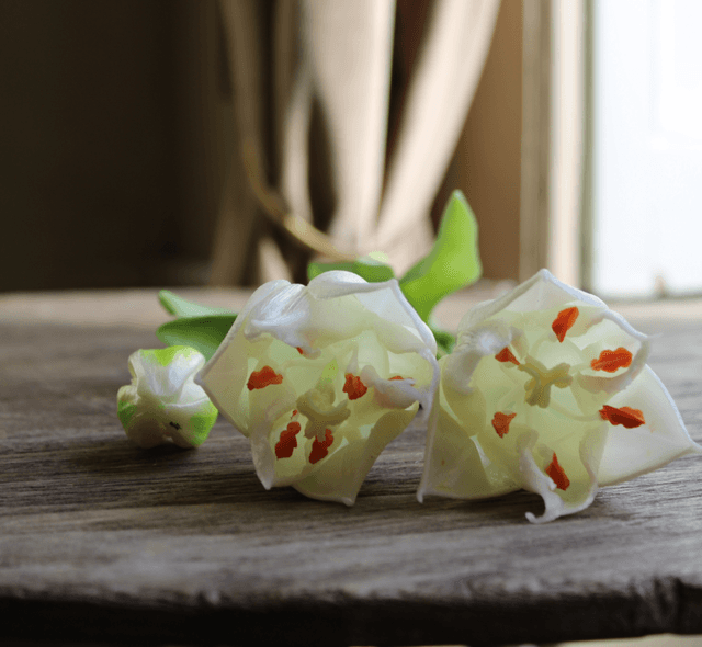 tulp exclusive snowy white 