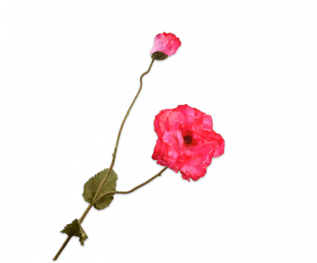 Silk-Ka Klaproos Beauty 109cm
