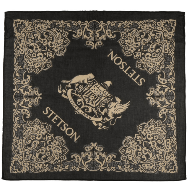 Stetson Paisley Bandana 