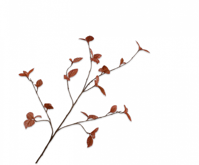 Silk-Ka Bladtak Bruin 116cm