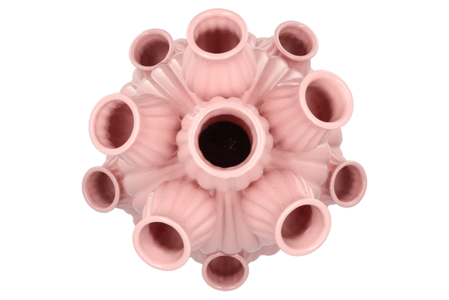 Amsterdam light pink tulip vase bubbles 