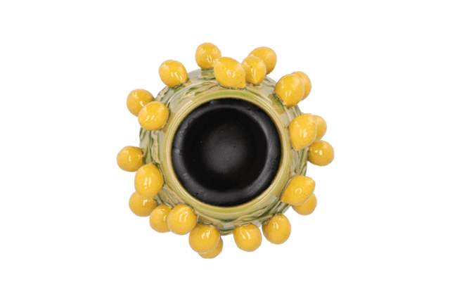 Fruit lemon olive green pot