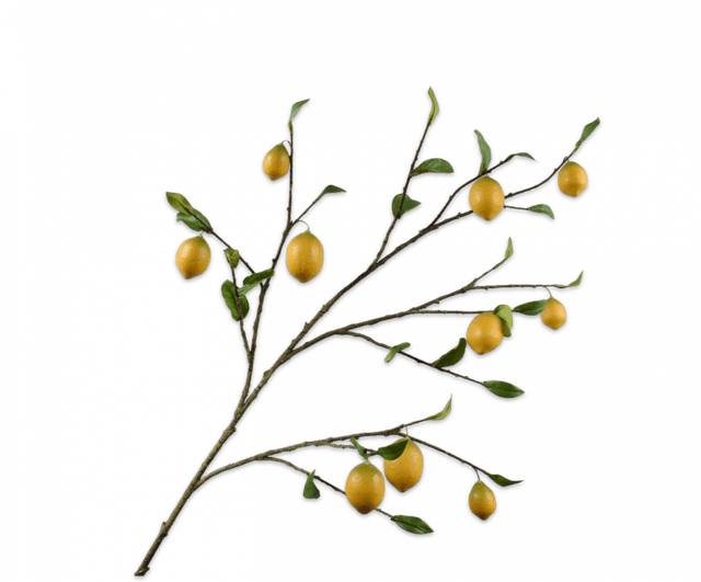 Silk-Ka Citroen Tak 124cm