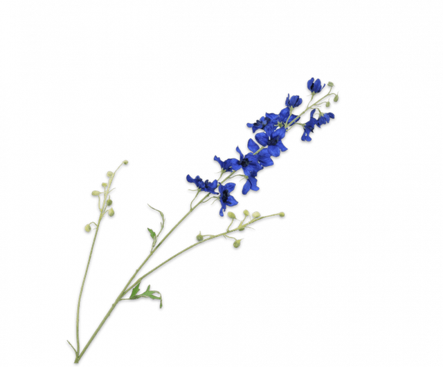 Silk-Ka Delphinium Blauw 