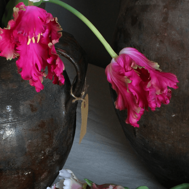 Silk-Ka Tulp Steel Paars Roze 