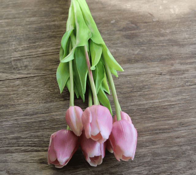 Tulp Classic Set Mauve 47cm
