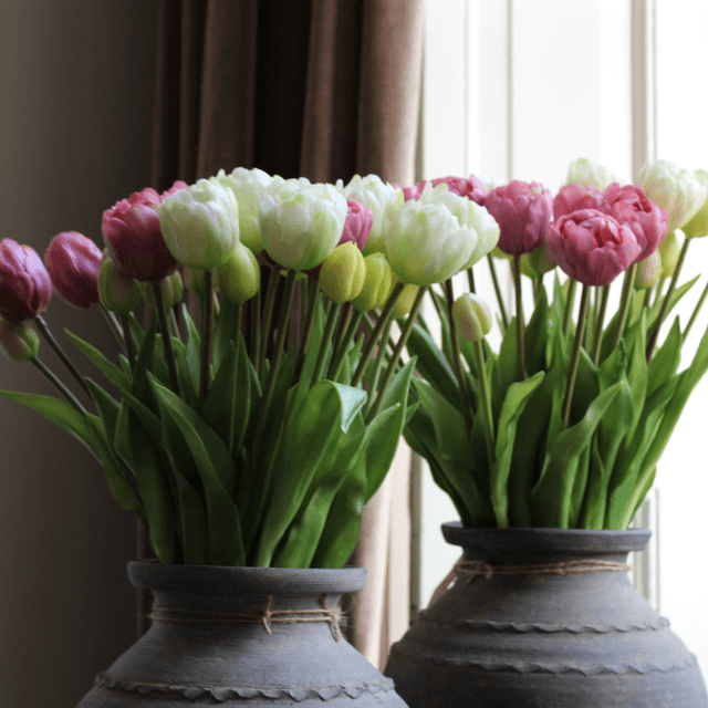 Pioen Tulpen bos snowy white (44cm) 