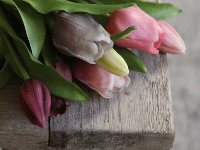 Tulpen mix Mauve (bos van 6) 31cm
