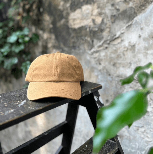 Stetson Baseball Cap Black Bean