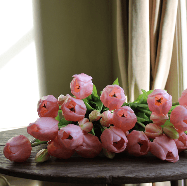 tulp classic soft pink
