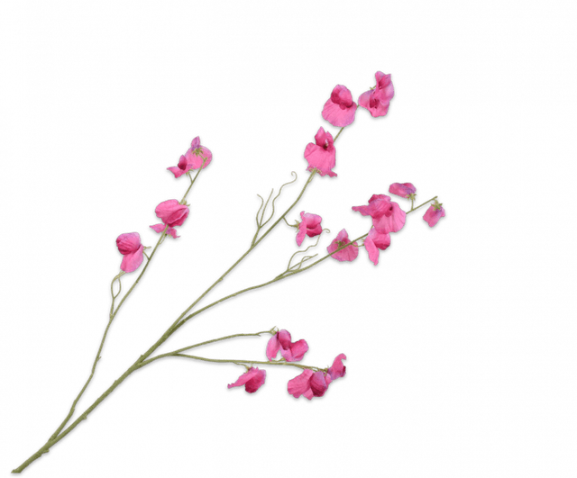 Silk-Ka Lathyrus tak 117cm lavendel/roze