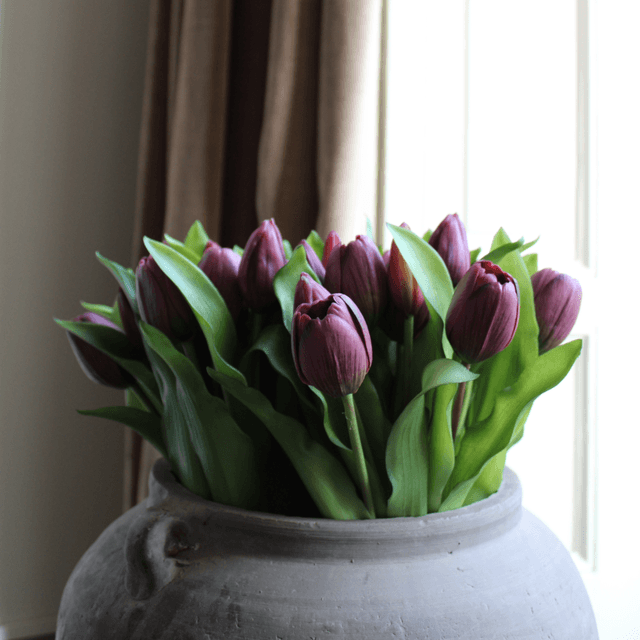 Tulp Purple 30cm 