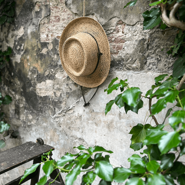 Stetson Gambler Raffia naturel 
