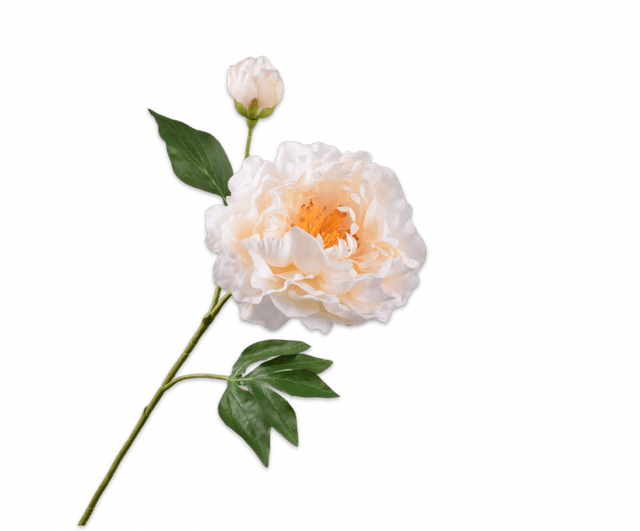 Silk-Ka Pioen Tak Creme 79cm
