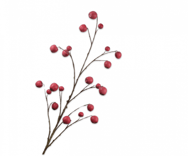 Silk-Ka Appeltak Rood 124cm