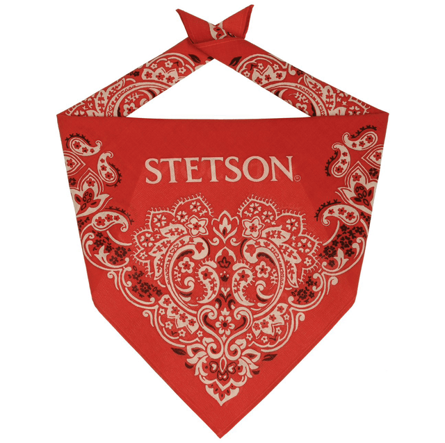 Stetson Paisley Bandana 