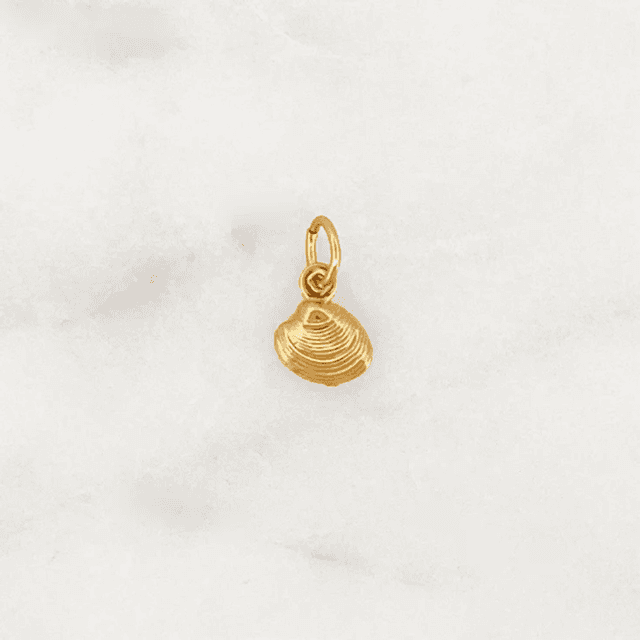 DYO Venus Shell