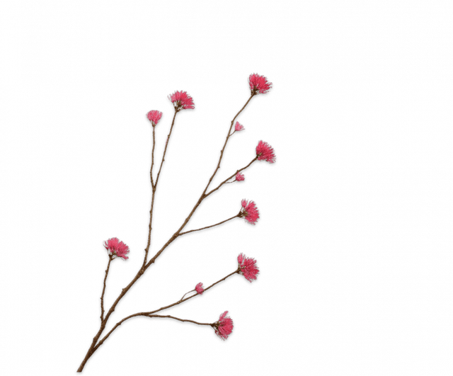 Silk-ka Bloesemtak Donker Roze 108cm