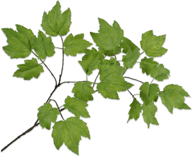 Silk-Ka Bladtak Groen 120cm