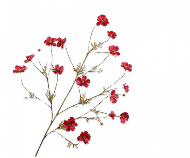 Silk-Ka Cosmos Tak Rood 104cm RT