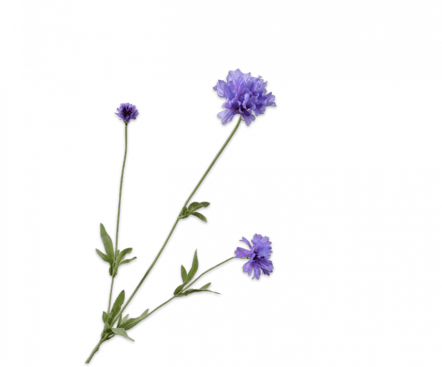 Silk-Ka Korenbloem tak licht lavendel