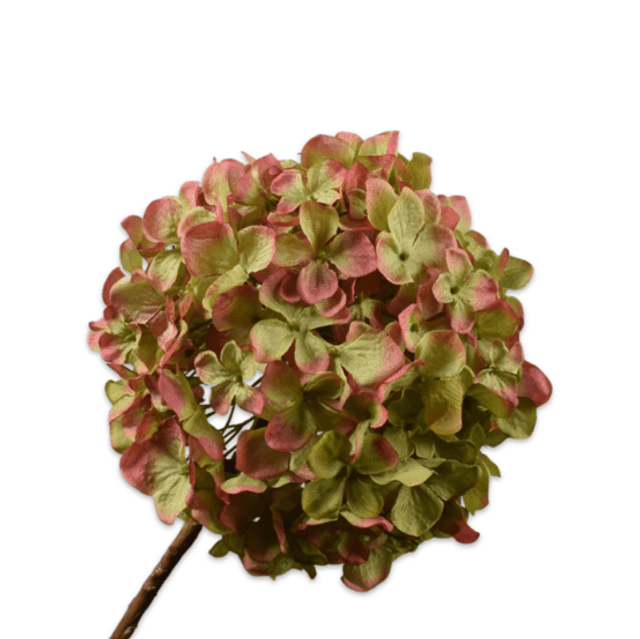 Silk-Ka Hortensia Tak Groen Creme 70cm