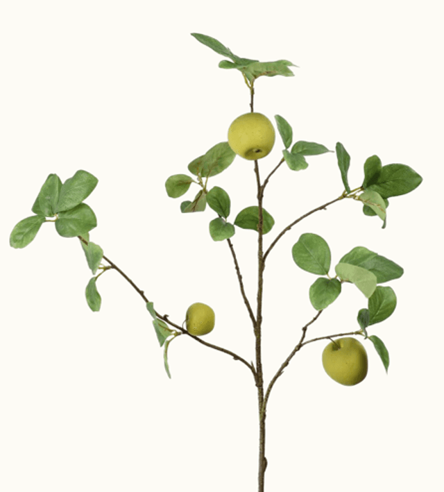 Appeltak Groen 100cm 